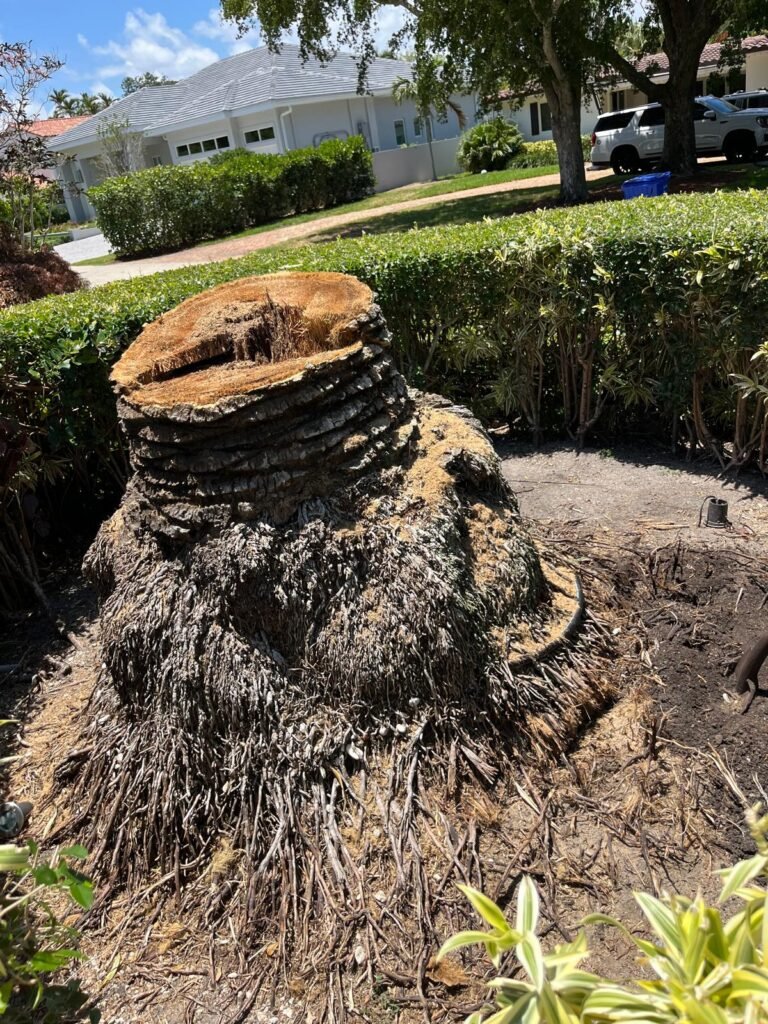 Majabe Property Maintenance 104