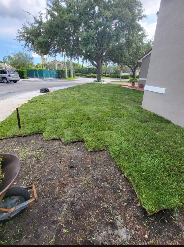 Majabe Property Maintenance 121