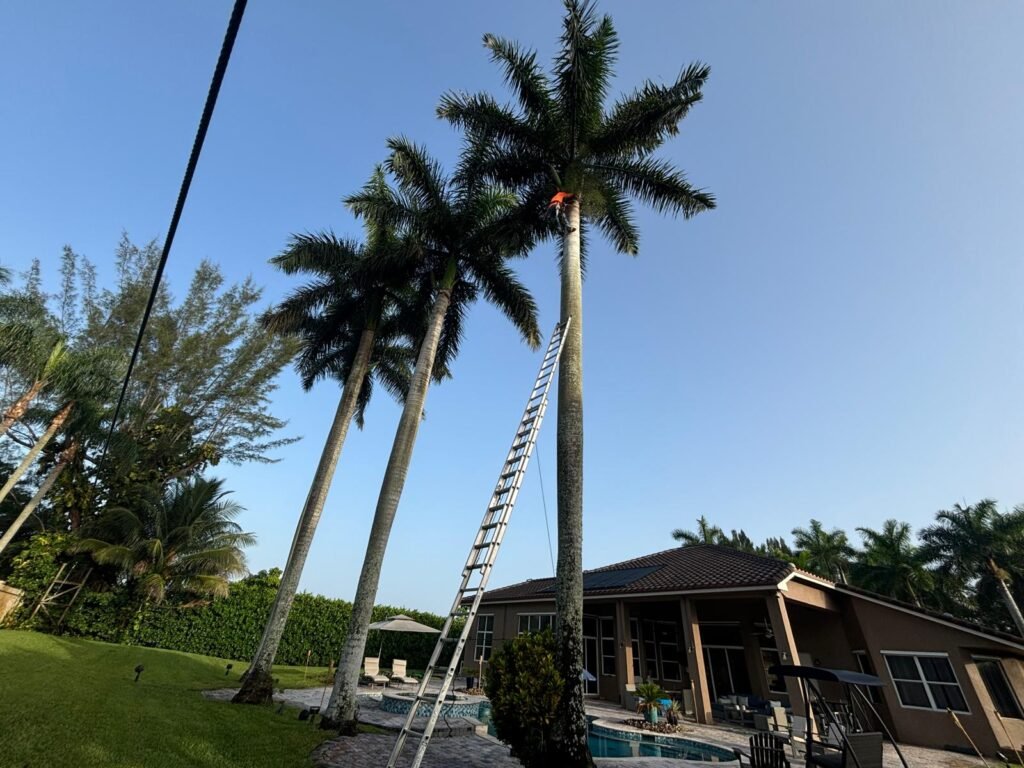 Majabe Property Maintenance 398