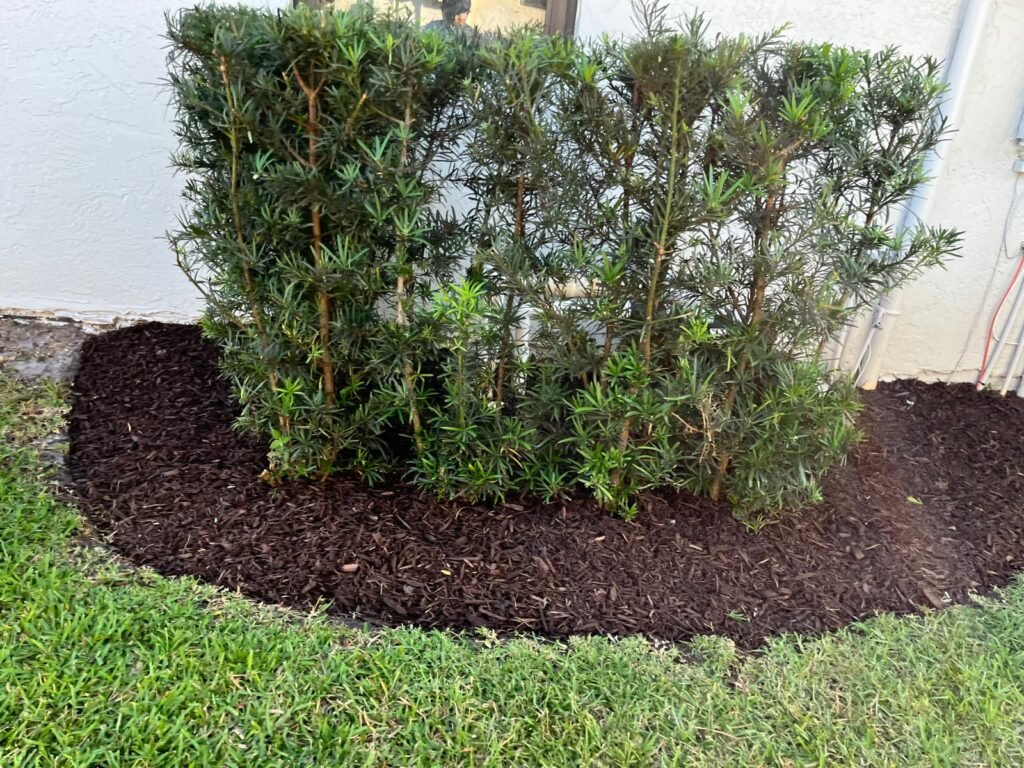 Majabe Property Maintenance 87