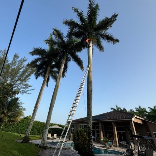 Majabe Property Maintenance 398