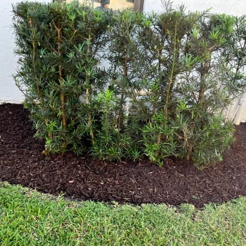 Majabe Property Maintenance 87